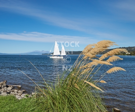 Splashback photo: Lake Taupo with sail yacht - Kitchen splashback picture for standard size 900 x 750 mm