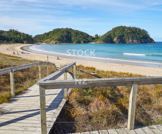 Splashback photo: Matapouri Bay in Northland, New Zealand