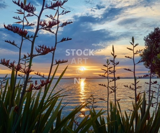 Splashback photo: New Zealand sunset with flax and seaview - Kitchen splashback picture for standard size 900 x 750 mm - Northland beach scene