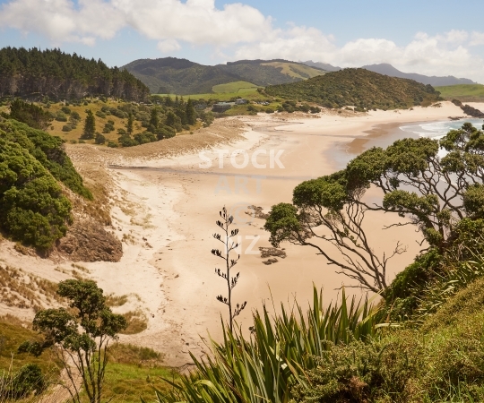 Splashback photo: Ocean Beach in Whangarei, Northland, New Zealand