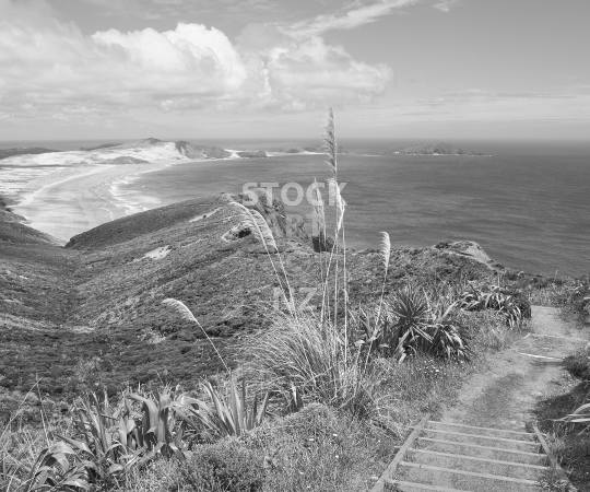 Splashback photo: Te Werahi Beach at Cape Reinga - Northland NZ