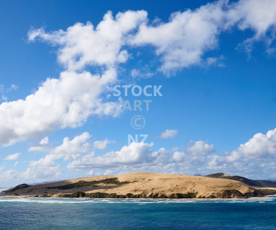 Splashback picture: Hokianga sand dunes