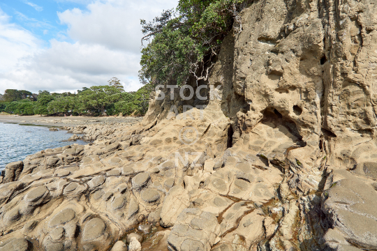 Sullivans Bay in Mahurangi West, Auckland NZ - Volcanic rocks and the beach, an Auckland Regional Park with campground