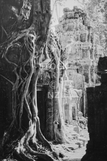 Ta Prohm - Magical temple ruins overgrown by trees and lost in the jungle, near Angkor Wat - black & white vintage low resolution photo from before tourism started again, March 1992