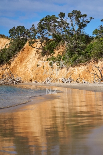 Taiharuru Bay - Whangarei, Northland, NZ