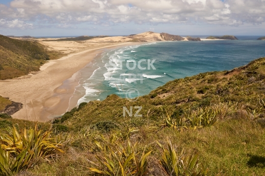 Te Werahi Beach - Far North NZ - Spectacular west coast bay close to Cape Reinga, with a view to Cape Maria Van Diemen and Motuopao Island at the end