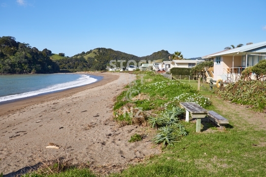 Teal Bay - Northland NZ