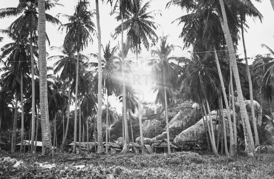 Thong Nay Paan Noi Beach how it used to be - Koh Phangan, Thailand - Small huts between coconut palm trees and jungle with huge rocks in the background - old vintage black & white low resolution photo