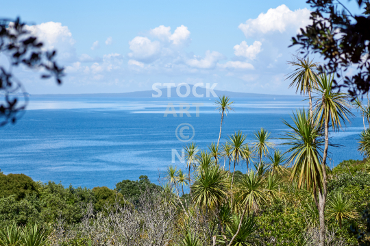 View of Rangitoto from Tiritiri Matangi Island - Untouched nature of the Hauraki Gulf islands near Auckland, NZ