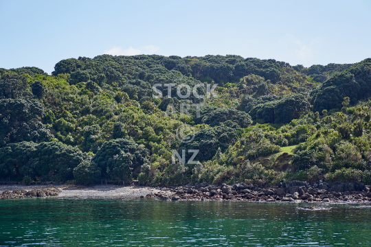 View of Tiritiri Matangi Island