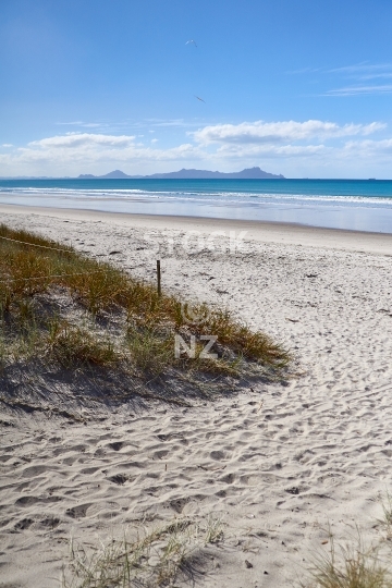 Waipu Cove beach in Bream Bay, Northland, NZ