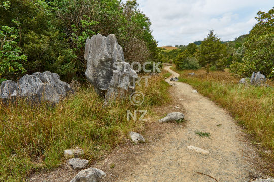 Walking track in Abbey Caves Reserve - Whangarei, Northland, NZ
