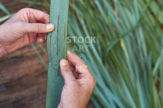 Weaver hands on a flax blade