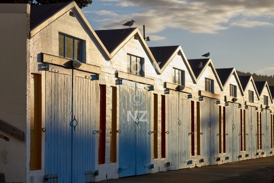 Wellington boat sheds at sunset