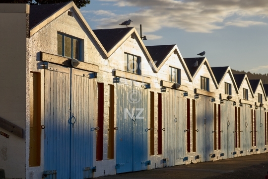 Wellington boat sheds at sunset - Clyde Quay in Boat Harbour, Oriental Bay