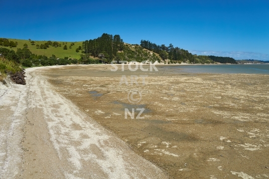 Whakapirau beach at low tide - Small beach settlement on the Kaipara Harbour in Northland, NZ