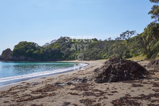 Whananaki Coast - Tauwhara Bay, Whangarei District