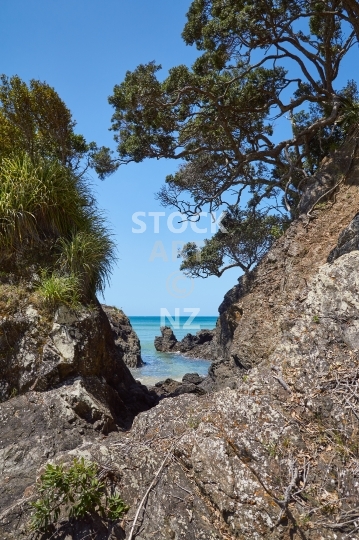 Whananaki rocks - The rocky coastline of the Northland east coast, NZ