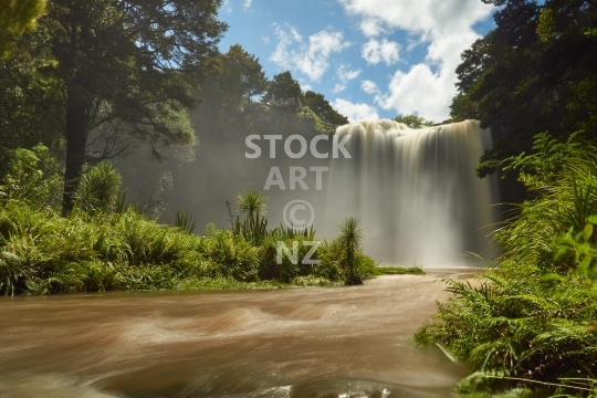 Whangarei Falls 