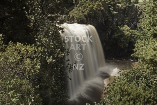 Whangarei Falls in Northland, New Zealand