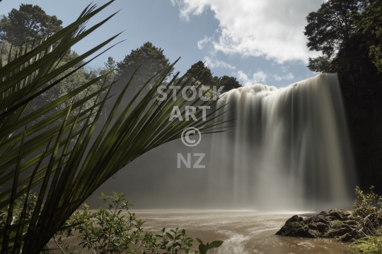 Whangarei Falls waterfall in Northland, New Zealand - Slow exposure of the beautiful and scenic 29 metre waterfall in Tikipunga, Whangarei, with a Nikau palm on the left.