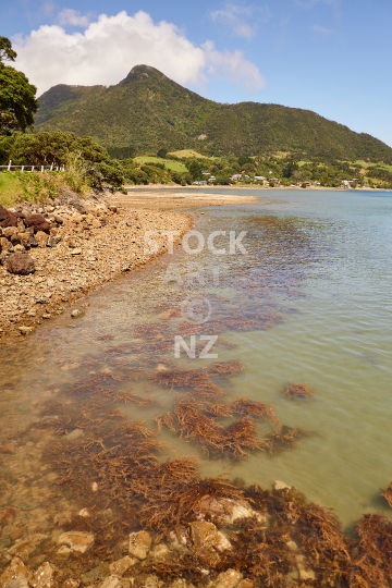 Whangarei Heads Road between Taurikura and Urquharts Bay