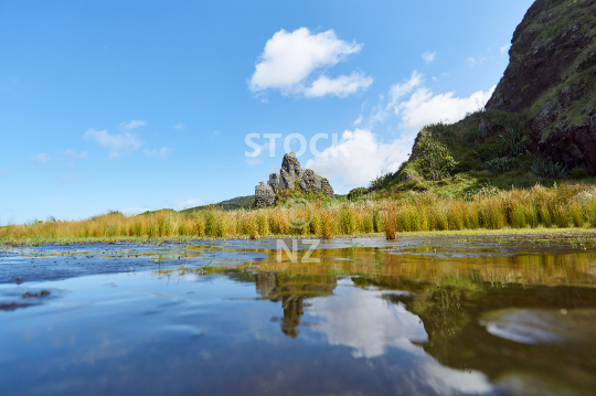Whatipu Beach landscape with grasses and rocks 