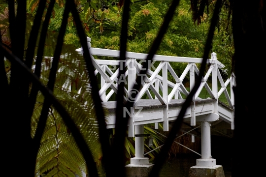 White bridge and Mamaku tree ferns - Queens Gardens, Nelson, NZ - Scene from the beautiful Victorian age garden and botanical park in central Nelson